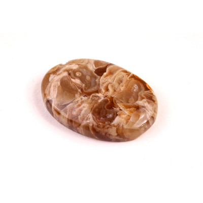 Kabošon Peanut Fossil č.2512 (30x20x7mm)