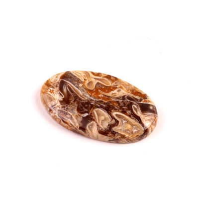 Kabošon Peanut Fossil č.2515 (31x18x5mm)