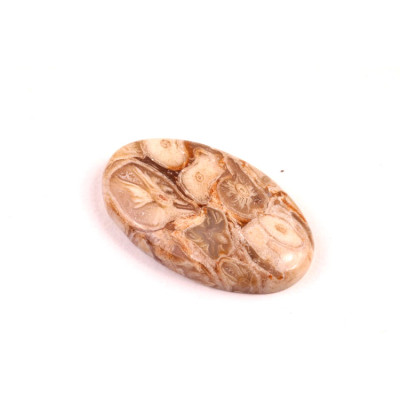 Kabošon Peanut Fossil č.2524 (29x18x5mm)