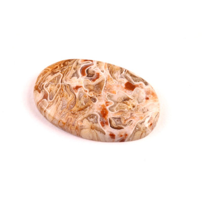 Kabošon Peanut Fossil č.2526 (33x21x5mm)