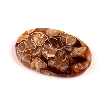 Kabošon Peanut Fossil č.2527 (39x25x5mm)