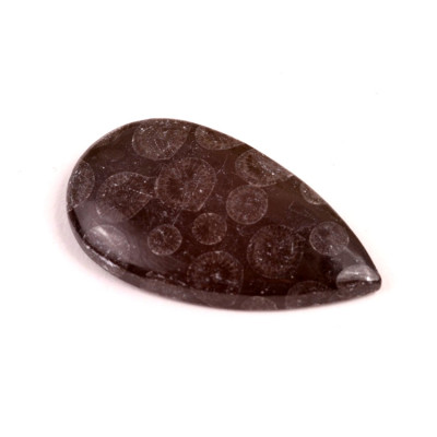 Kabošon Black Fossil č.7575 (39x22x6mm)