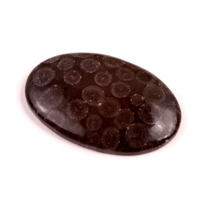 Kabošon Black Fossil č.7576 (39x25x6mm)