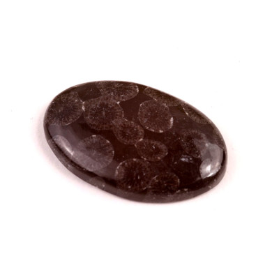 Kabošon Black Fossil č.7577 (35x22x6mm)