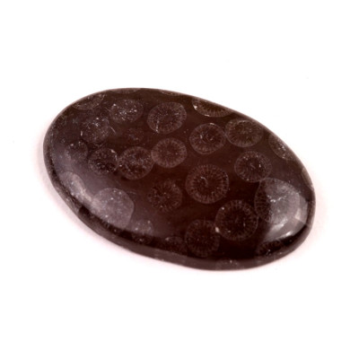 Kabošon Black Fossil č.7579 (40x26x6mm)