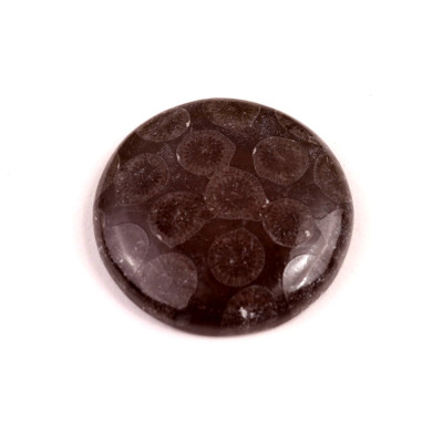 Kabošon Black Fossil č.7580 (30x6mm)