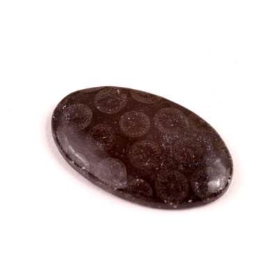 Kabošon Black Fossil č.7582 (35x21x5mm)