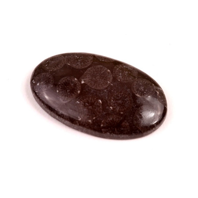 Kabošon Black Fossil č.7584 (36x22x6mm)