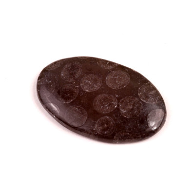 Kabošon Black Fossil č.7586 (35x23x5mm)