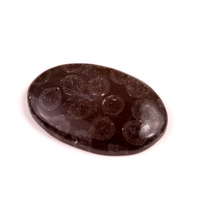 Kabošon Black Fossil č.7588 (35x23x6mm)