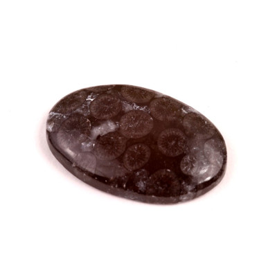 Kabošon Black Fossil č.7589 (35x22x6mm)