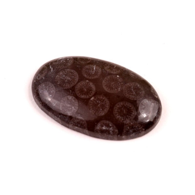 Kabošon Black Fossil č.7592 (35x22x6mm)