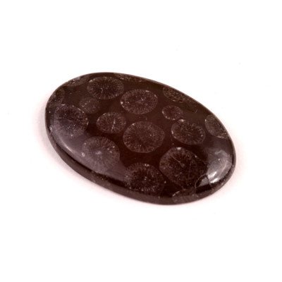 Kabošon Black Fossil č.7593 (36x24x5mm)