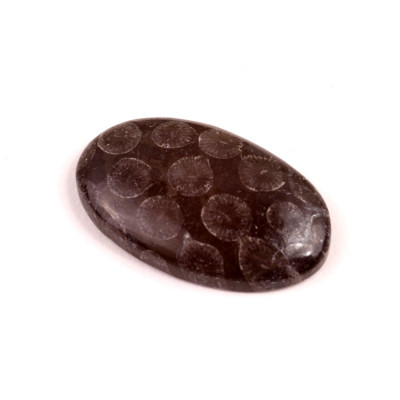 Kabošon Black Fossil č.7595 (34x21x6mm)