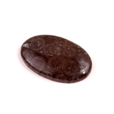 Kabošon Black Fossil č.7596 (33x21x5mm)