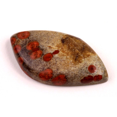 Kabošon Mexican Peanut Wood č.7623 (43x23x8mm)