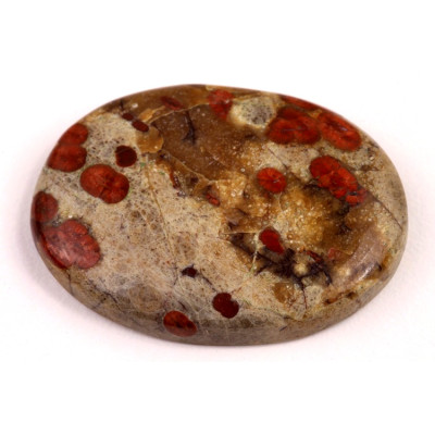 Kabošon Mexican Peanut Wood č.7627 (40x30x7mm)