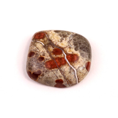 Kabošon Mexican Peanut Wood č.7630 (25x25x7mm)