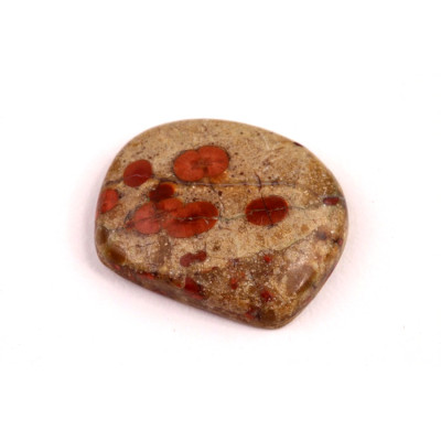 Kabošon Mexican Peanut Wood č.7631 (27x22x6mm)