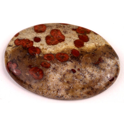 Kabošon Mexican Peanut Wood č.7637 (44x31x6mm)