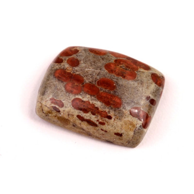 Kabošon Mexican Peanut Wood č.7639 (29x23x9mm)