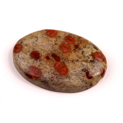 Kabošon Mexican Peanut Wood č.7641 (36x25x7mm)