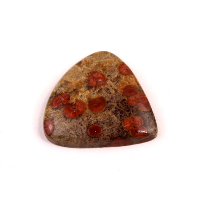 Kabošon Mexican Peanut Wood č.7642 (26x26x5mm)