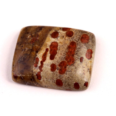 Kabošon Mexican Peanut Wood č.7644 (32x26x9mm)