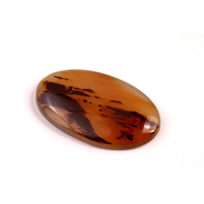 Kabošon Montana Agate č.8201 (32x19x5mm)