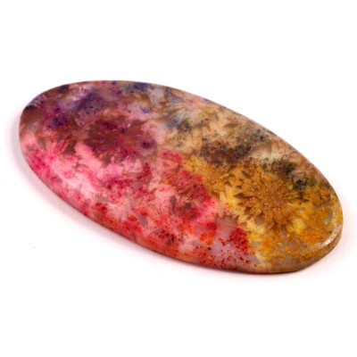 Kabošon Fossil Coral č.8303 (50x25x5mm)