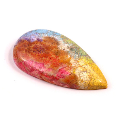 Kabošon Fossil Coral č.8304 (44x23x7mm)