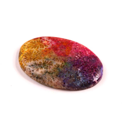 Kabošon Fossil Coral č.8306 (36x23x5mm)