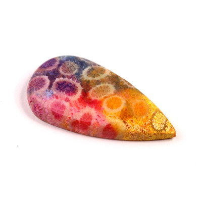 Kabošon Fossil Coral č.8307 (40x20x6mm)