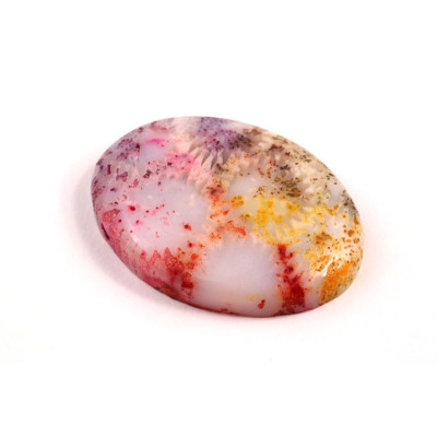 Kabošon Fossil Coral č.8308 (32x24x6mm)