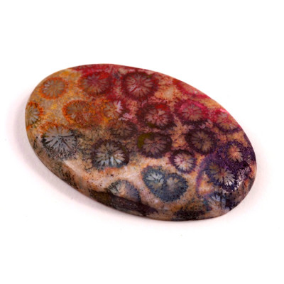 Kabošon Fossil Coral č.8309 (43x28x6mm)