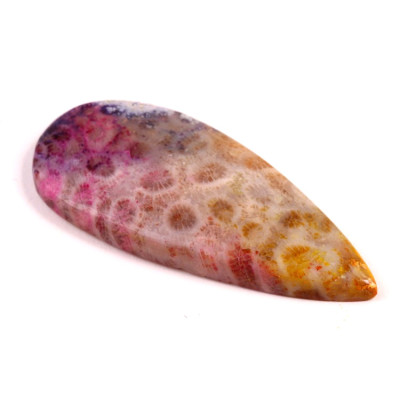 Kabošon Fossil Coral č.8310 (55x25x5mm)