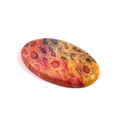 Kabošon Fossil Coral č.8312 (39x23x5mm)