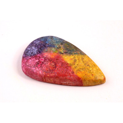 Kabošon Fossil Coral č.8313 (40x25x7mm)