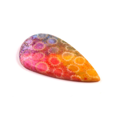 Kabošon Fossil Coral č.8314 (44x23x5mm)