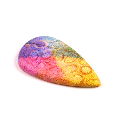 Kabošon Fossil Coral č.8316 (43x24x6mm)