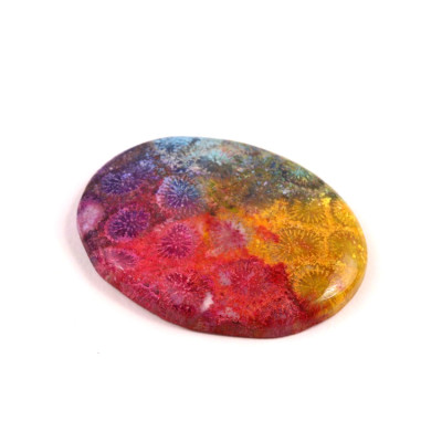 Kabošon Fossil Coral č.8320 (38x29x5mm)