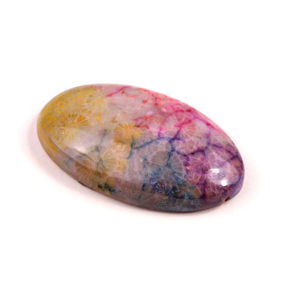 Kabošon Fossil Coral č.8322 (44x25x10mm)