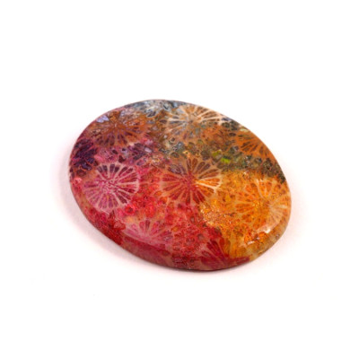 Kabošon Fossil Coral č.8324 (37x29x6mm)