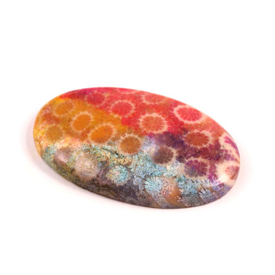 Kabošon Fossil Coral č.8326 (44x27x6mm)