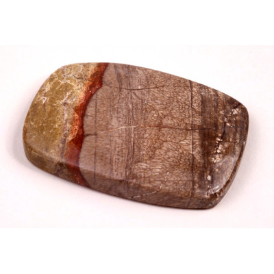 Kabošon Mushroom Rhyolite č.8331 (43x30x6mm)