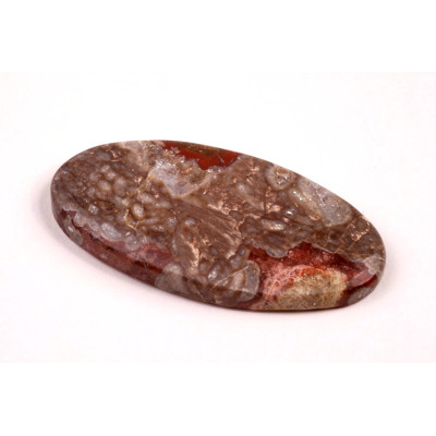 Kabošon Mushroom Rhyolite č.8334 (43x22x5mm)