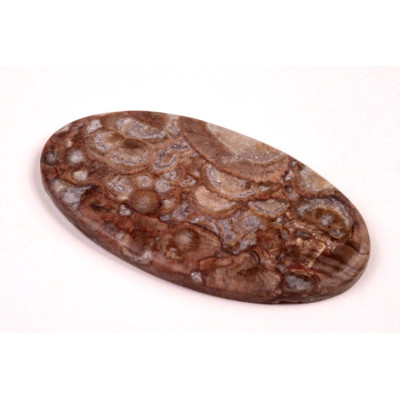 Kabošon Mushroom Rhyolite č.8346 (47x25x4mm)