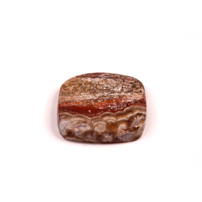 Kabošon Mushroom Rhyolite č.8348 (24x22x5mm)