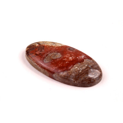 Kabošon Mushroom Rhyolite č.8349 (36x18x6mm)