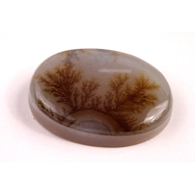 Kabošon Dendrite Quartz č.8353 (36x25x8mm)